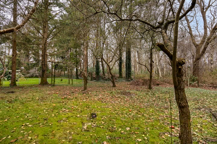 Foto 29 van Graswijk 45-A