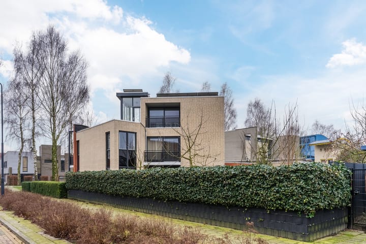 Foto 9 van Lentemorgen 43