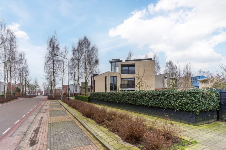 Foto 10 van Lentemorgen 43