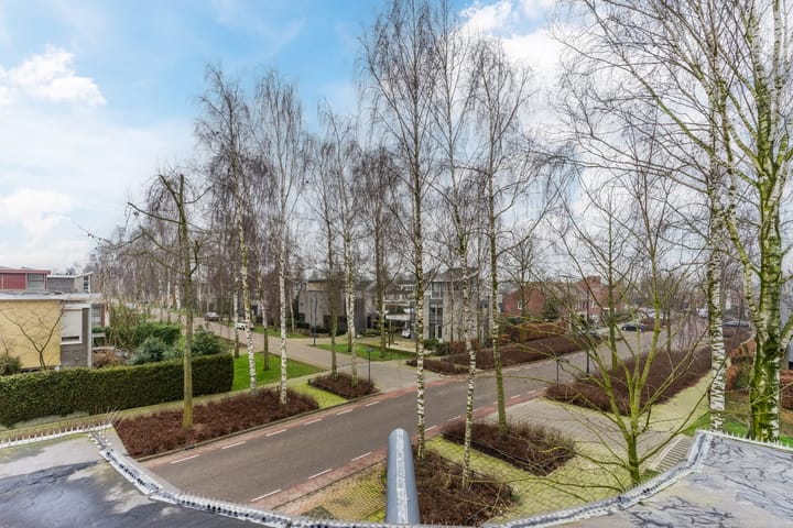 Foto 74 van Lentemorgen 43