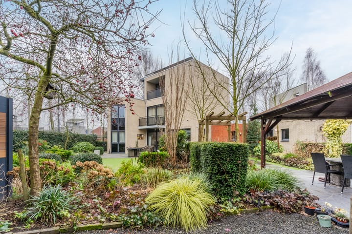 Foto 85 van Lentemorgen 43