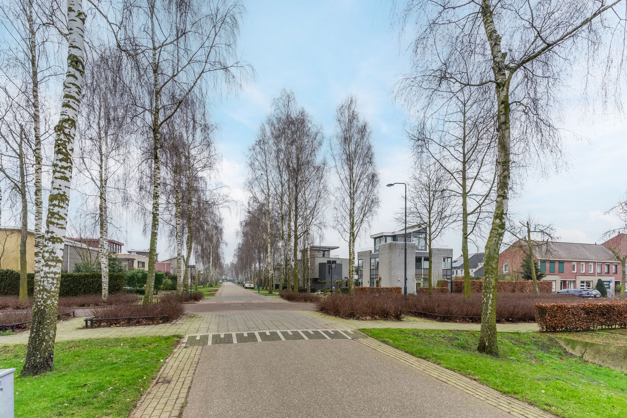 Foto 96 van Lentemorgen 43