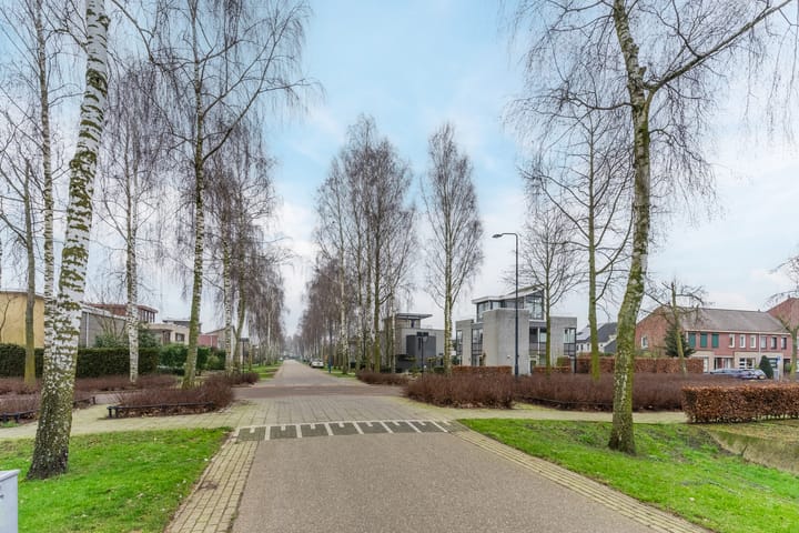 Foto 96 van Lentemorgen 43