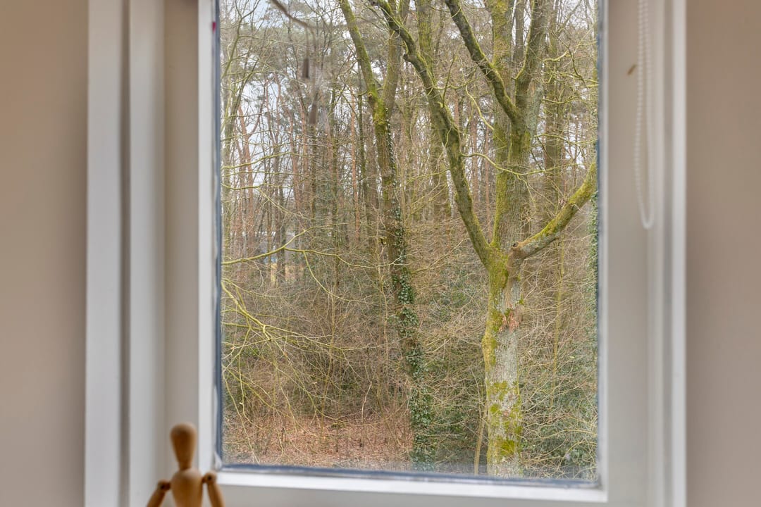 Foto 41 van Winkewijertlaan 51