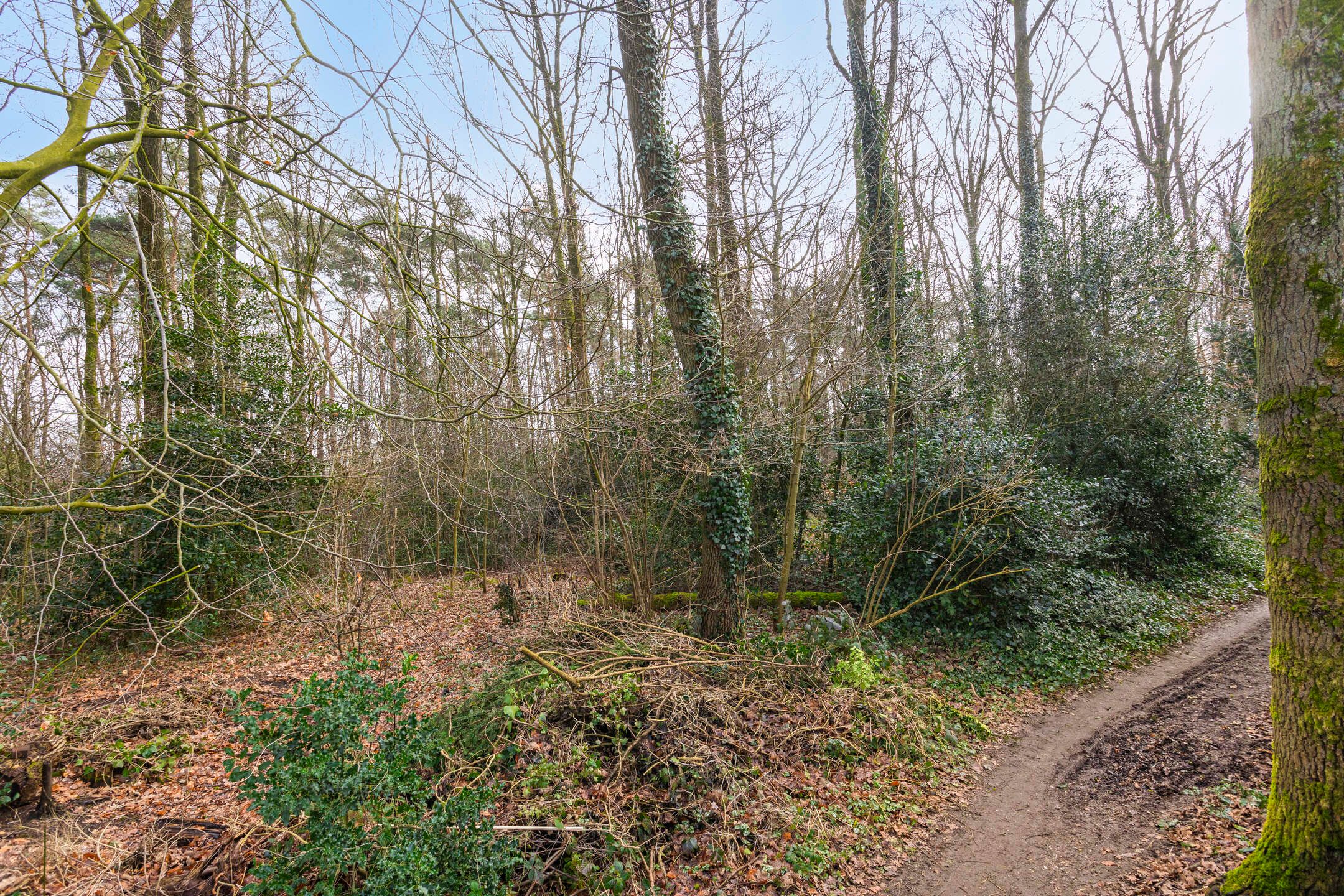 Foto 66 van Winkewijertlaan 51