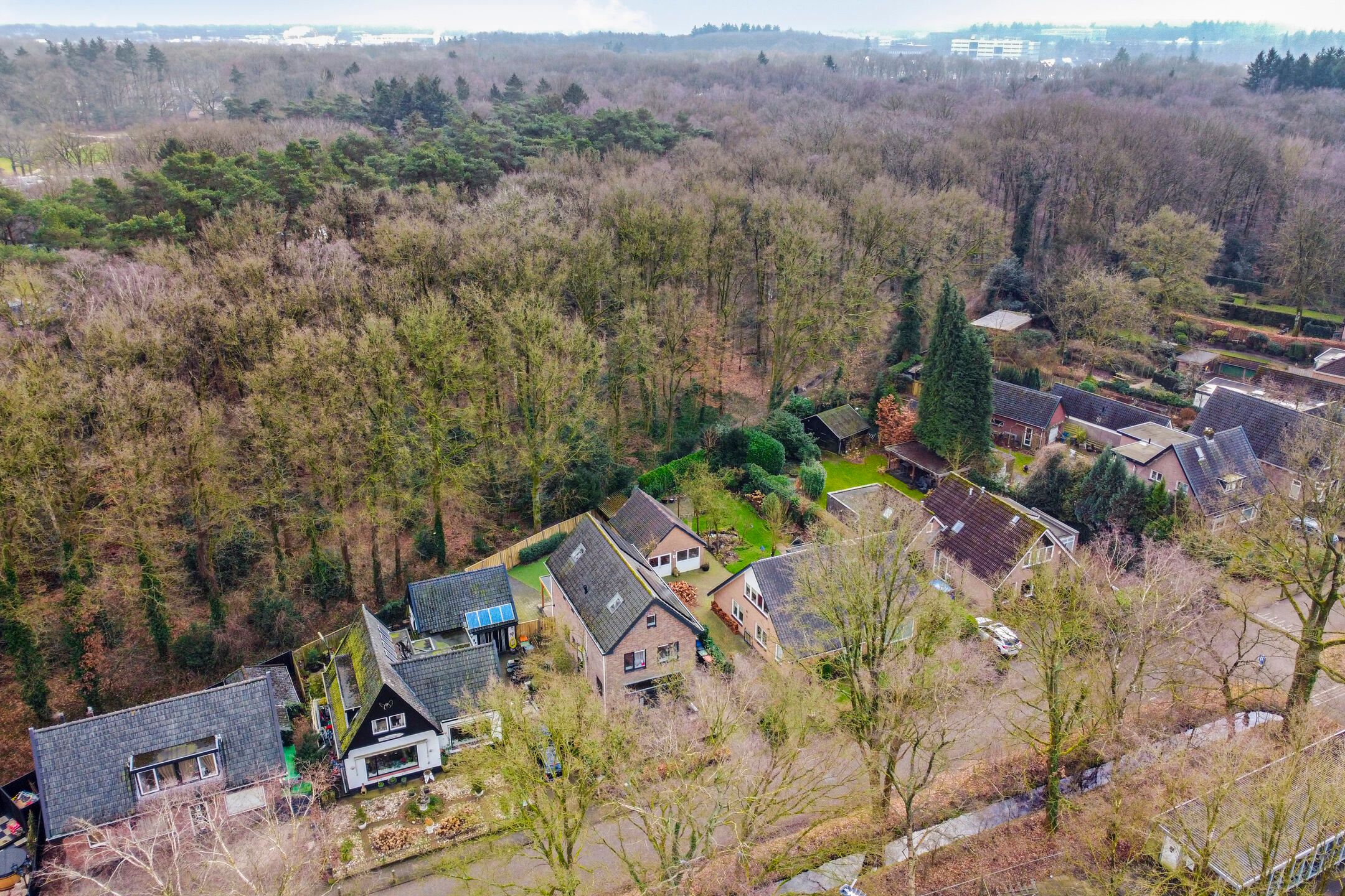 Foto 69 van Winkewijertlaan 51