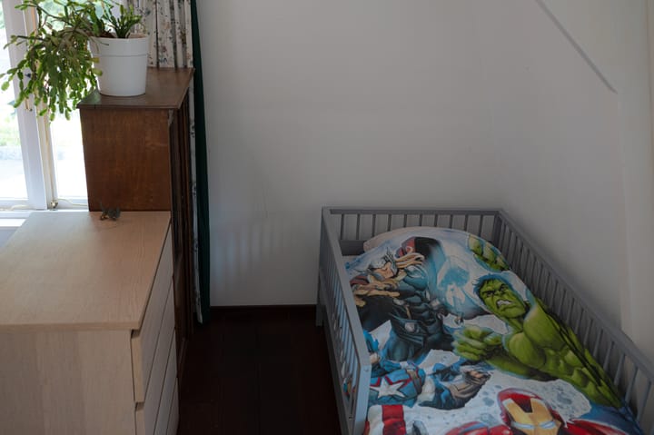 Foto 22 van Julianastraat 5