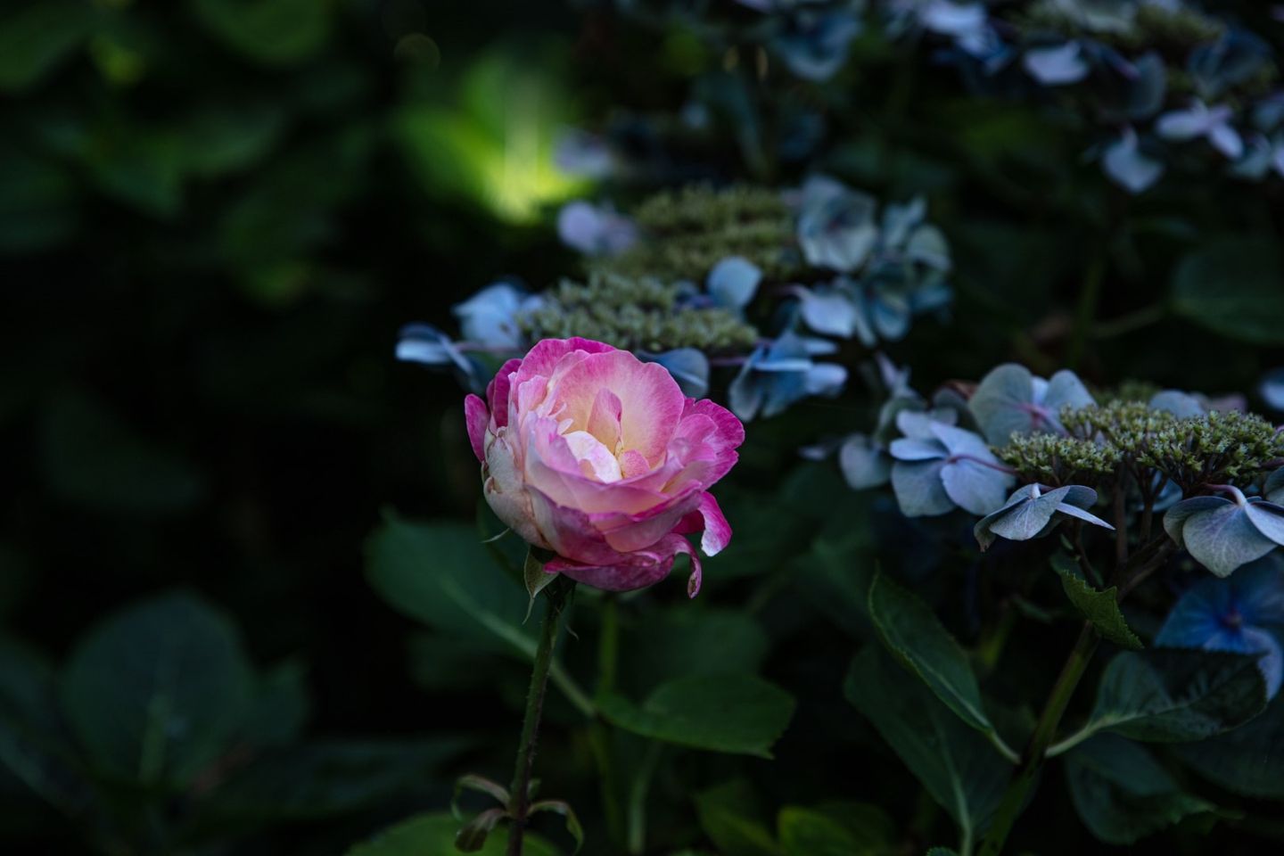 Foto 34 van Julianastraat 5