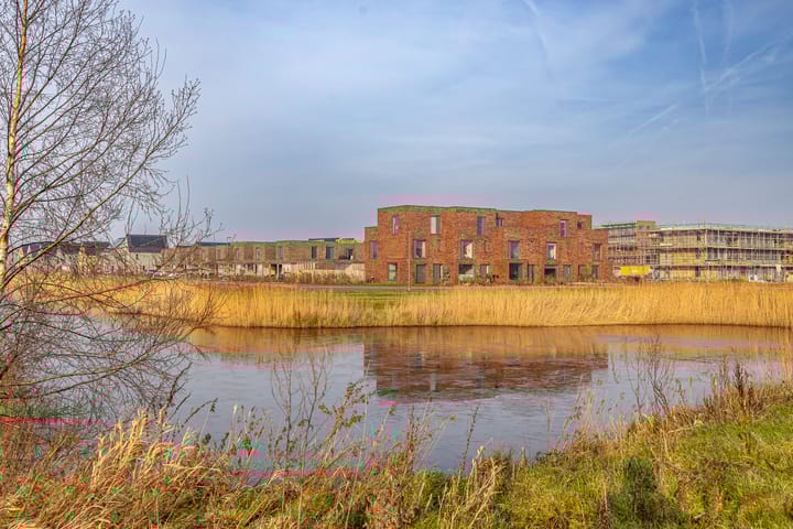 Blaarkop 3