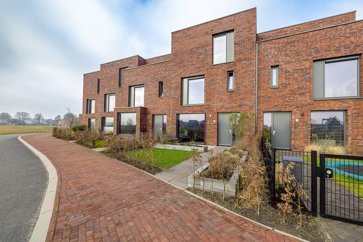 Foto 2 van Blaarkop 3