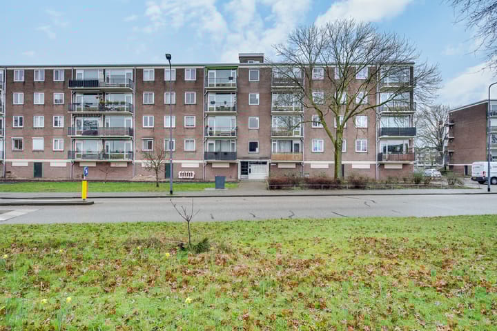 Foto 47 van Maassingel 278