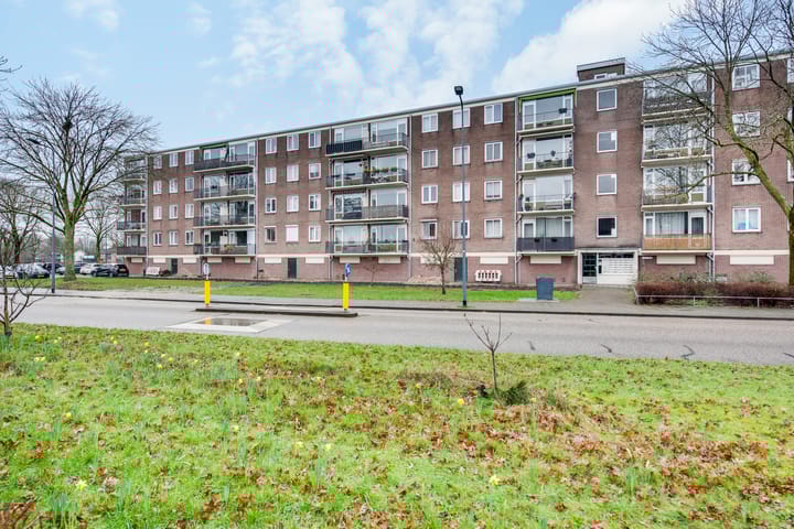 Foto 46 van Maassingel 278