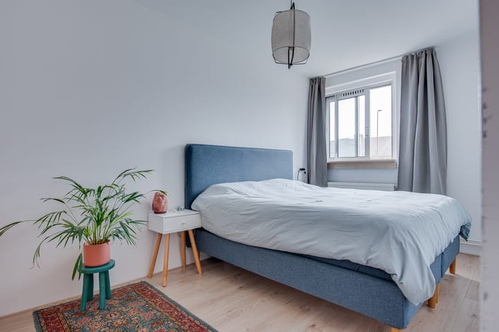 Foto 29 van Maassingel 278