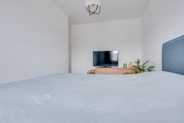 Foto 30 van Maassingel 278