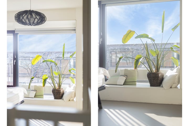 Foto 26 van Planciusstraat 6