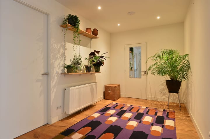 Foto 15 van Roemer Visscherlaan 1