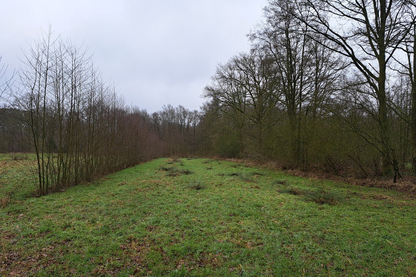 Bekijk foto 2 van nabij Grensweg