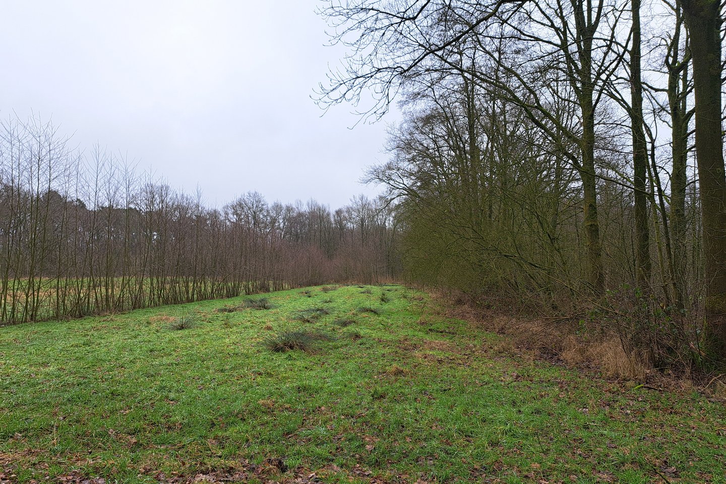 Bekijk foto 3 van nabij Grensweg