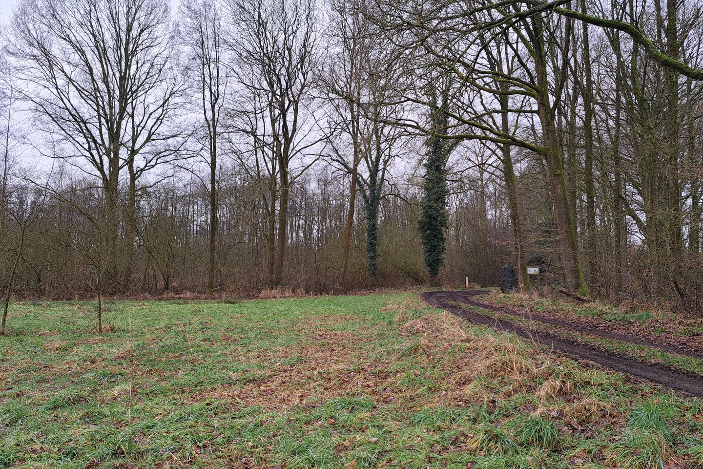 Bekijk foto 4 van nabij Grensweg