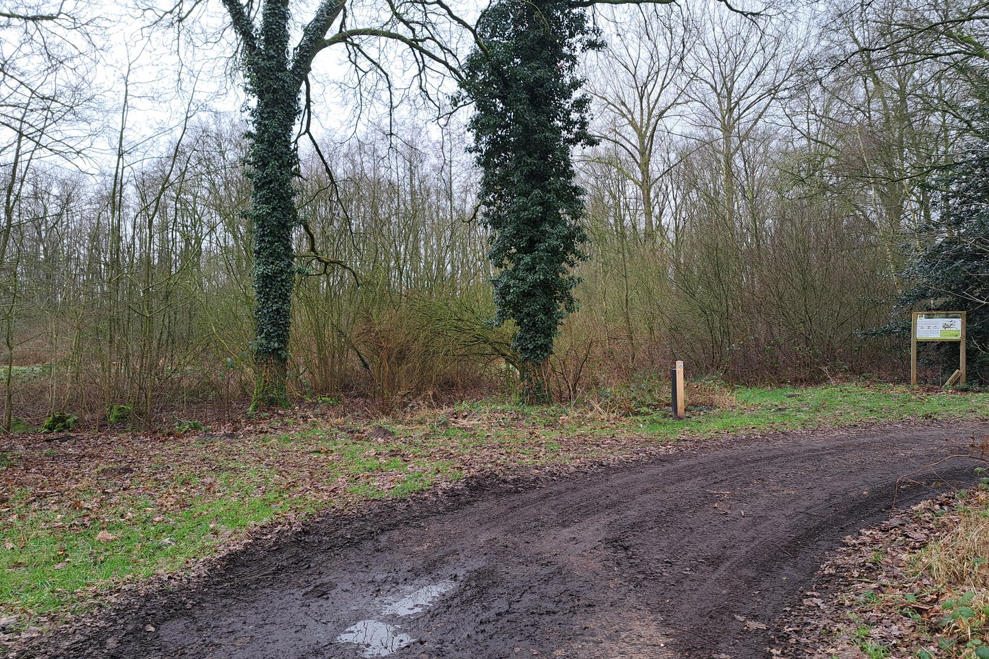 Bekijk foto 5 van nabij Grensweg