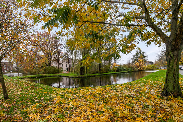 Foto 30 van Vrijheidslaan 85