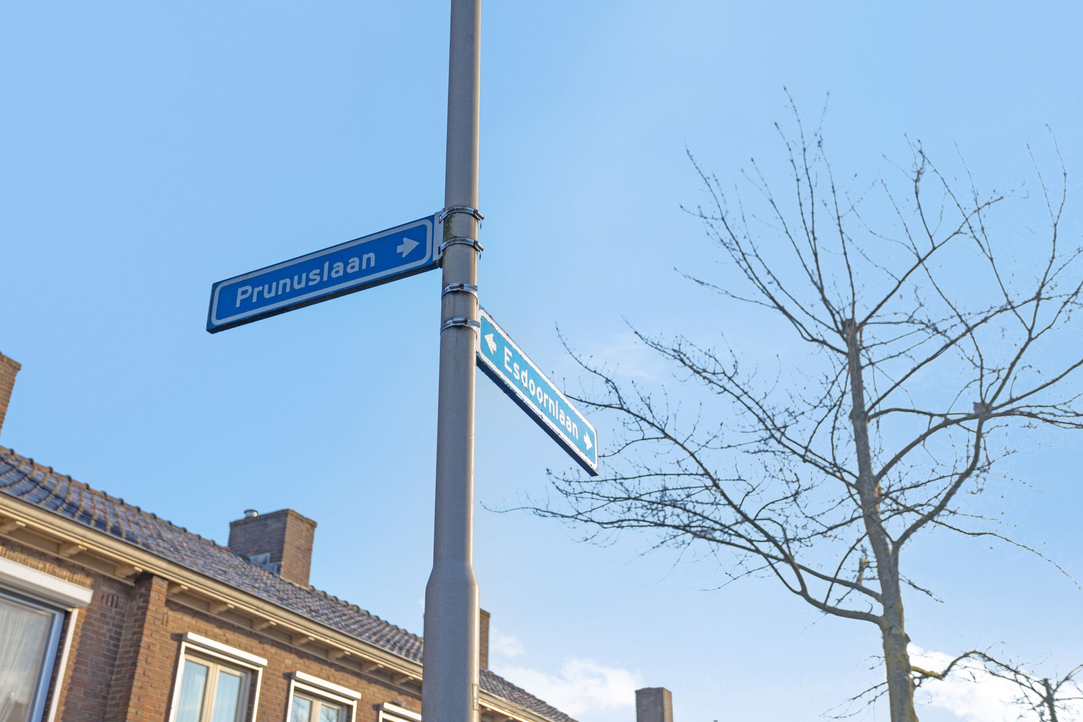 Foto 27 van Prunuslaan 5