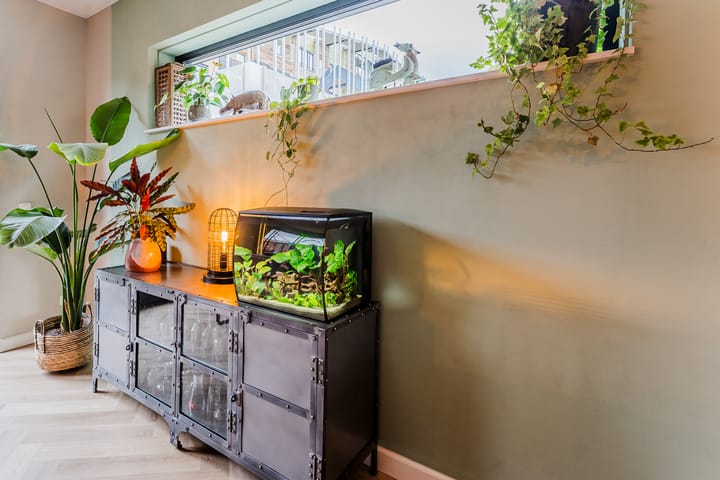 Foto 16 van Chris Barberpad 10