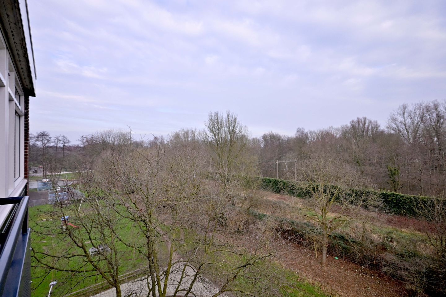 Foto 19 van Wielingenstraat 75