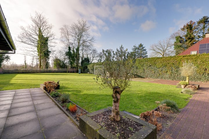 Photo 7 of Mounewei 51