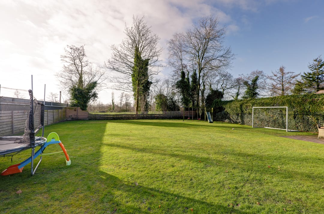 Photo 8 of Mounewei 51