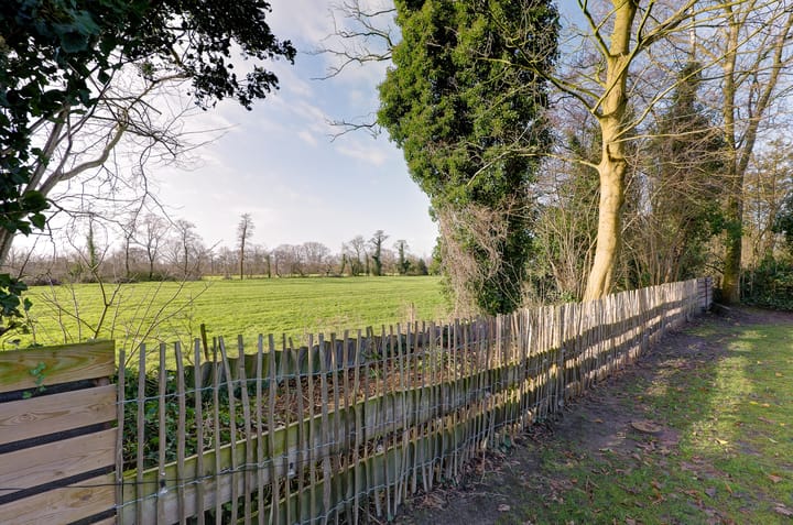 Photo 9 of Mounewei 51