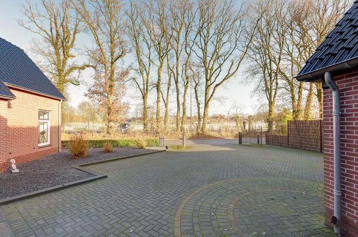 Photo 19 of Mounewei 51