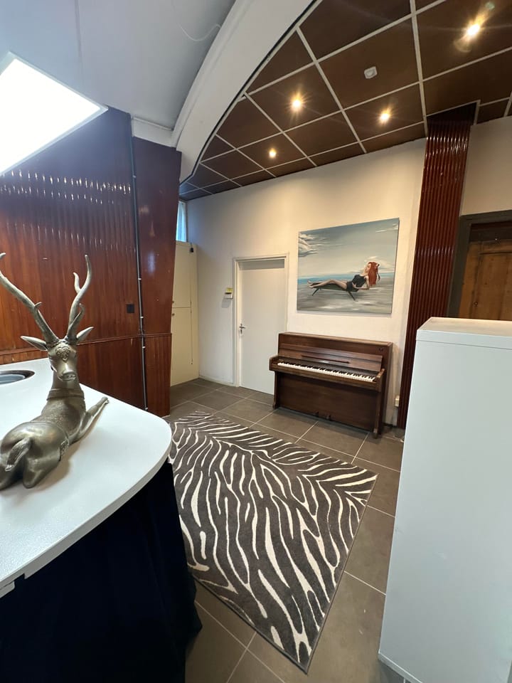 Foto 10 van Baarsjesweg 313