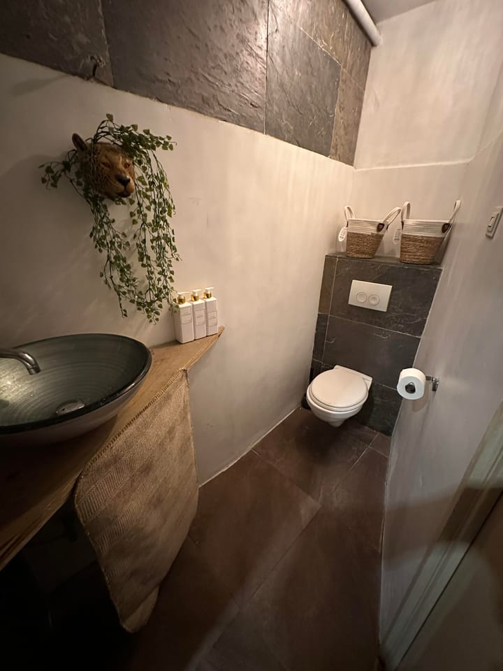 Foto 24 van Baarsjesweg 313