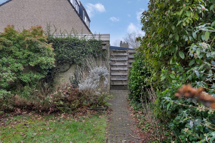 Foto 21 van Punterdiep 39