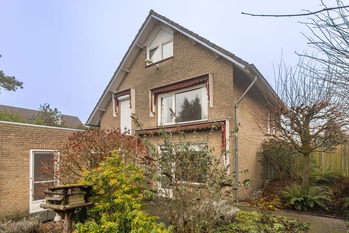 Foto 42 van Nieuwenhoflaan 1