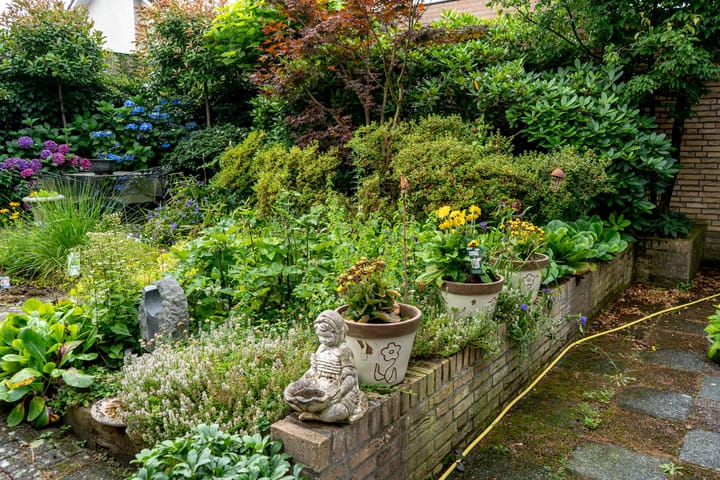 Foto 45 van Nieuwenhoflaan 1