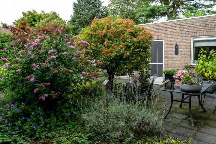 Foto 47 van Nieuwenhoflaan 1