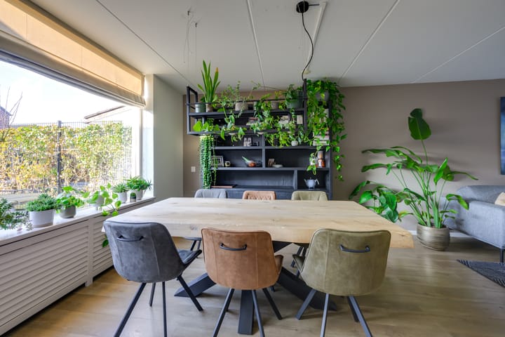 Foto 8 van Gouden Regen 5