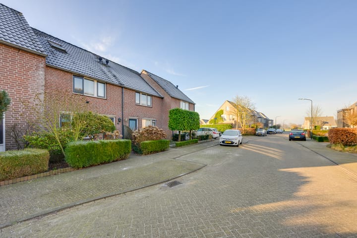 Foto 31 van Gouden Regen 5