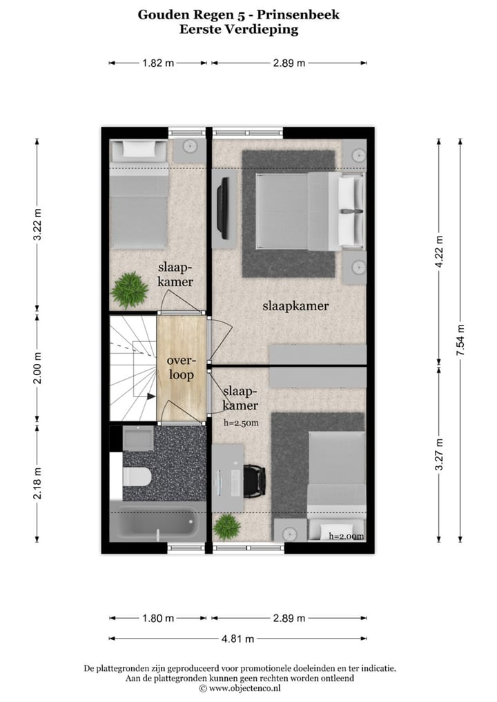 Foto 33 van Gouden Regen 5