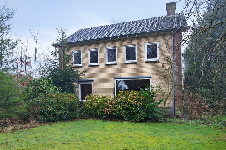 undefined main image