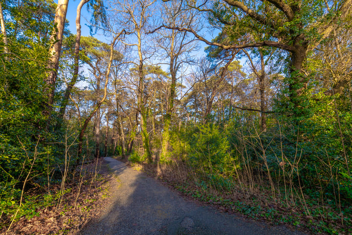 Foto 45 van Charlotte de Bourbonlaan 64