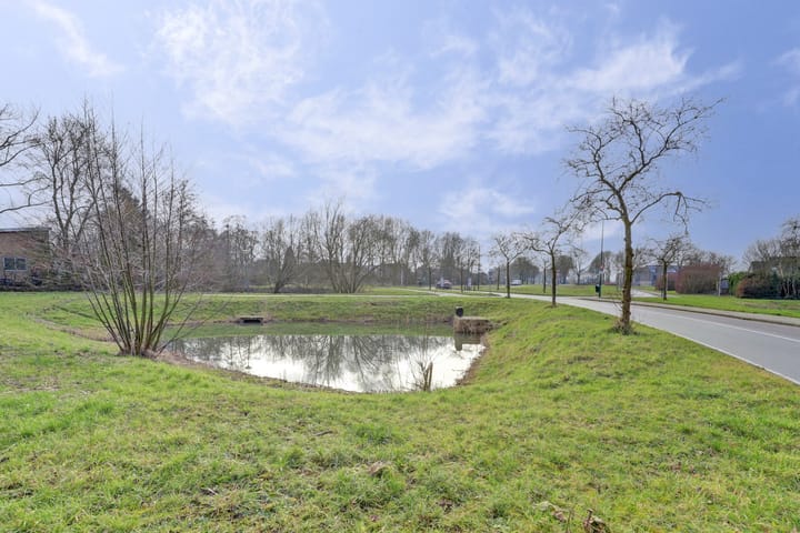 Foto 47 van Romulus 12