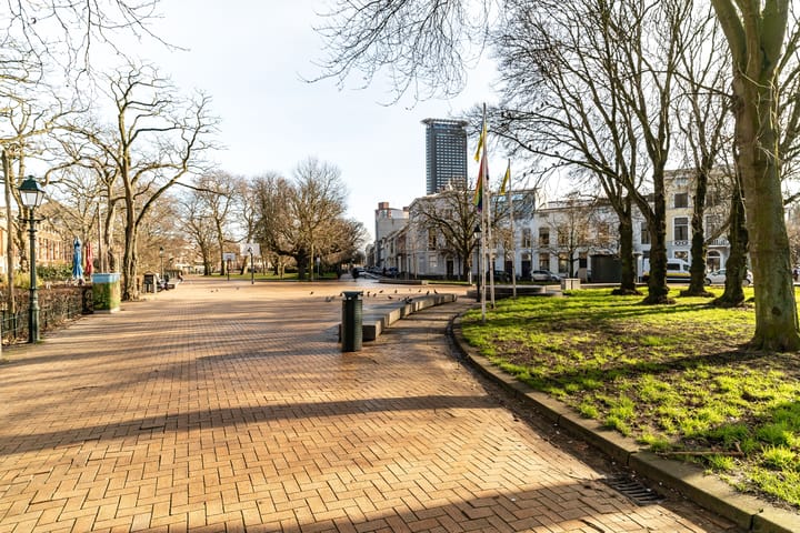 Foto 31 van Van der Duynstraat 134