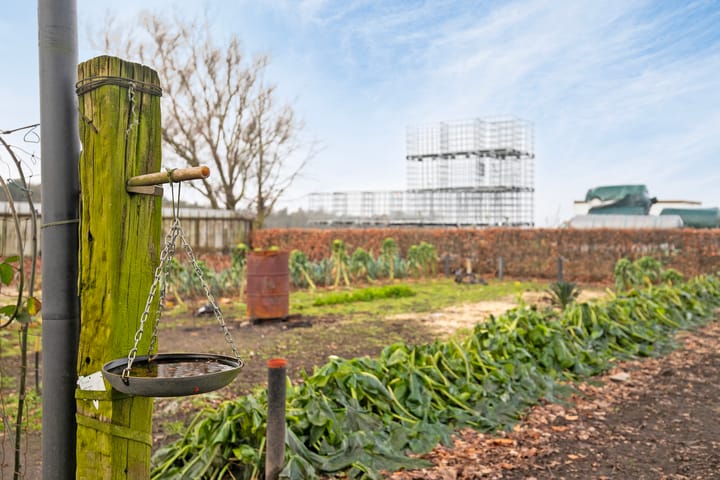 Photo 50 of Lollebeekweg 29