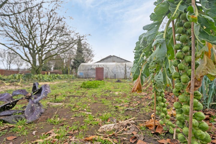 Photo 54 of Lollebeekweg 29