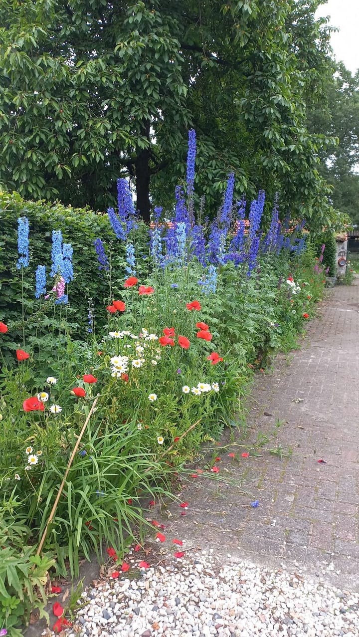 Photo 58 of Lollebeekweg 29