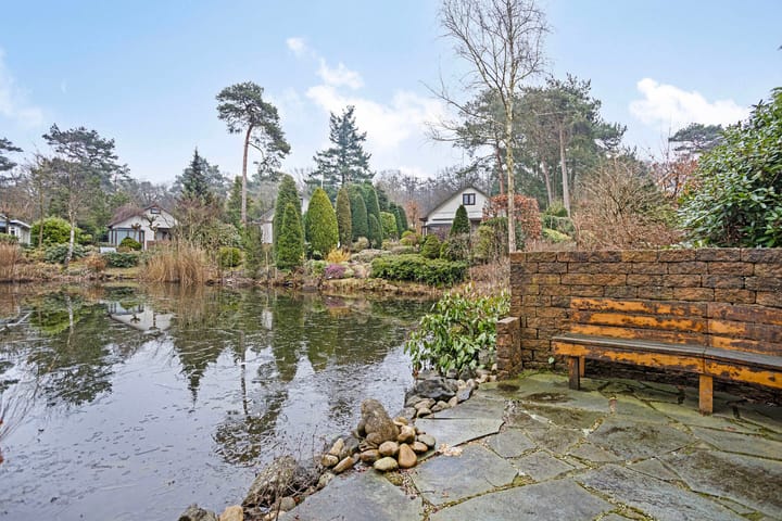 Foto 45 van Potdijk 8-D50