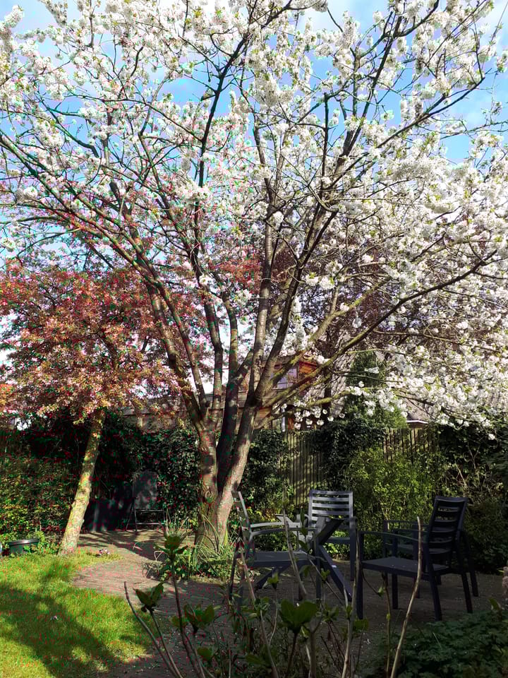 Foto 35 van Gasthuizen 33